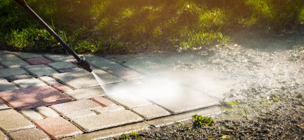 Best Soft Washing  in Pine Ridge, SC
